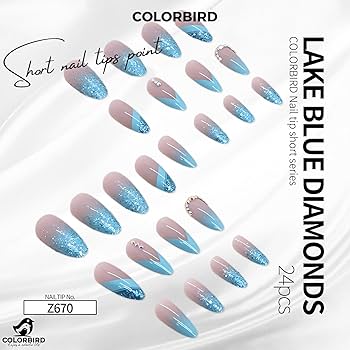 Amazon | COLORBIRD ネイルチップ ショート 24枚 青 ネイル 付け